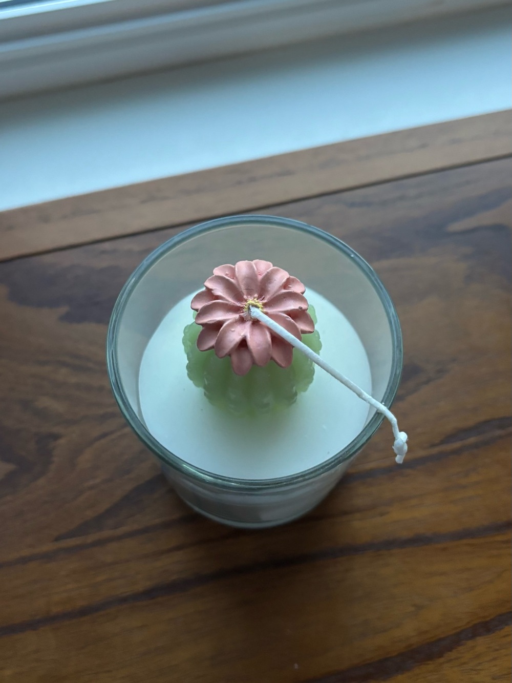 Wild Prickly Pear Jar Candle - White Wax with Pale Green Cactus